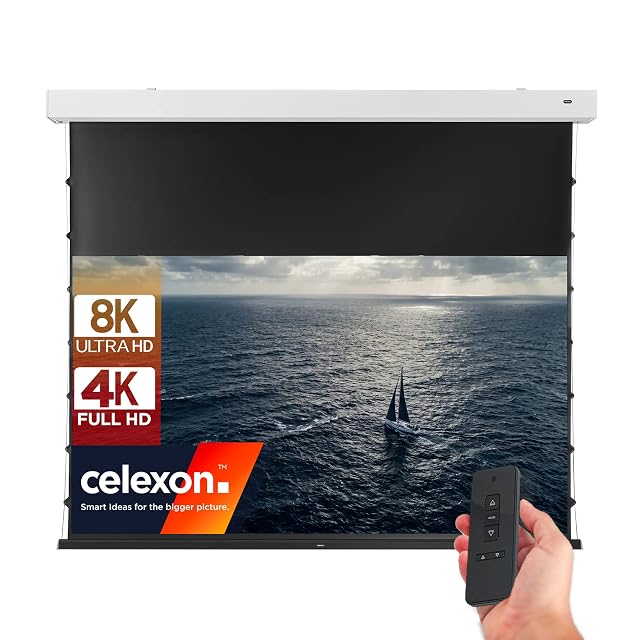 celexon Premium+ DARKVISION kontraststarke motorisierte Projektionsleinwand