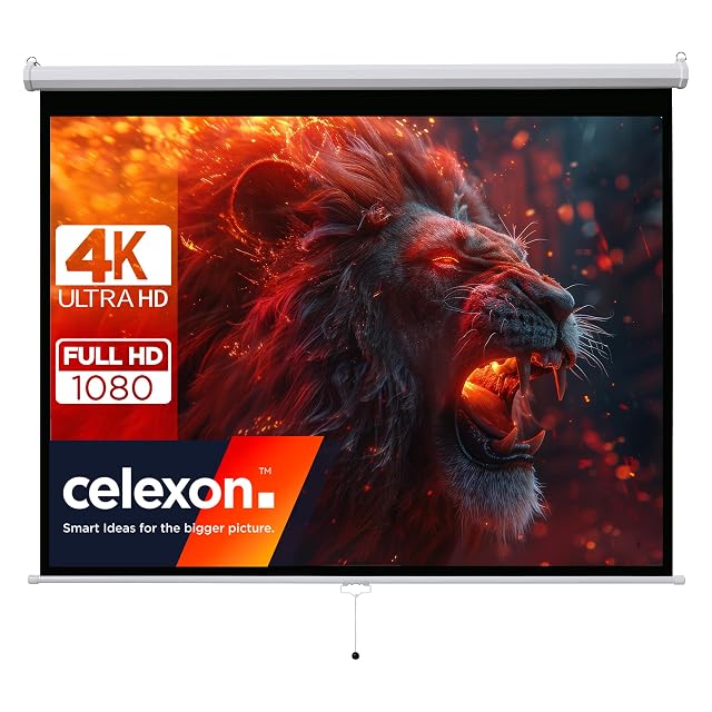 celexon Basic Rollo-Projektionsleinwand
