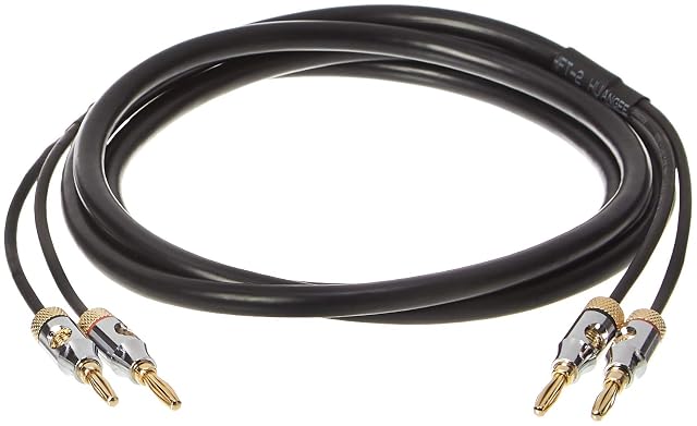Amazon Basics Lautsprecherkabel 16 AWG mit vergoldeten Bananensteckern